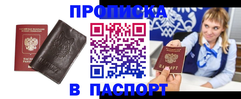 где прописаться в Сольцах